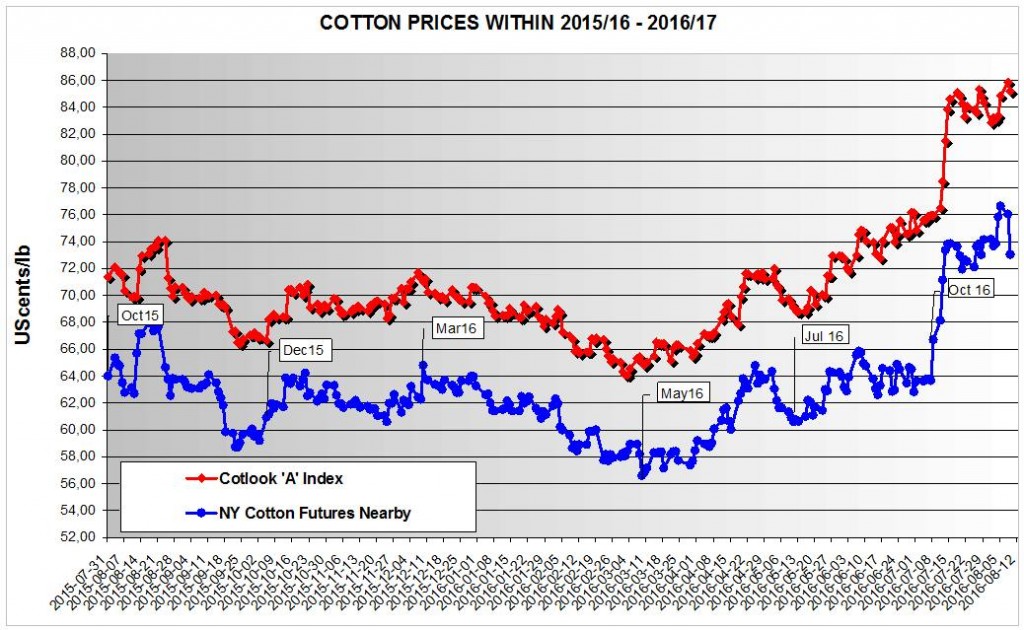 COTTON MARKET WITHIN 2015/16 – 2016/17